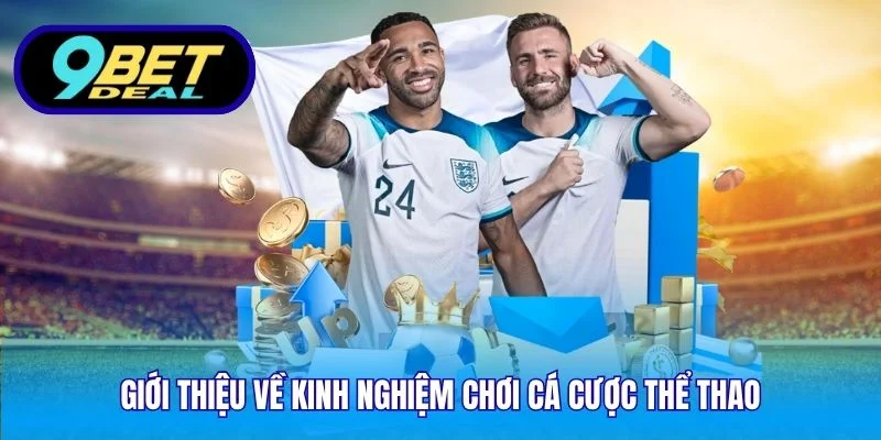 Kinh Nghiệm Chơi Cá Cược Thể Thao Tại Sân Chơi 9Bet 2 Giới thiệu về kinh nghiệm chơi cá cược thể thao